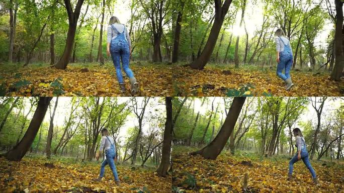森林中的秋天漫步