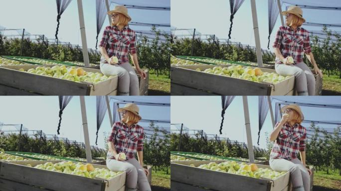 DS女人在果园里吃苹果