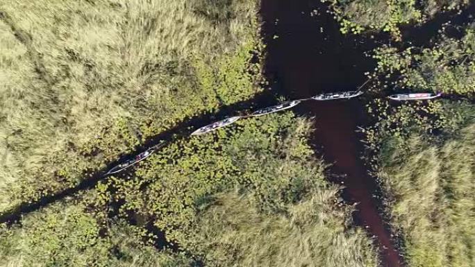 沿着奥卡万戈三角洲水道的Mokoro野生动物园，游客直奔高空摇摄