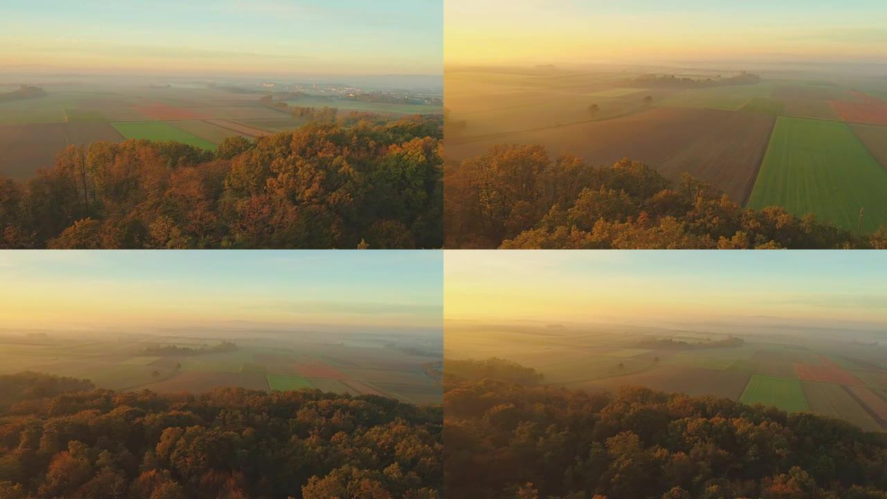 WS鸟瞰图宁静，乡村，田园诗般的绿色麦田景观，Prekmurje，斯洛文尼亚