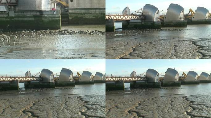 泰晤士河堰洪水控制，从海鸟拉
