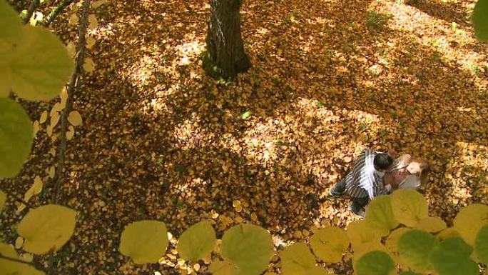 HD CRANE:浪漫的秋天