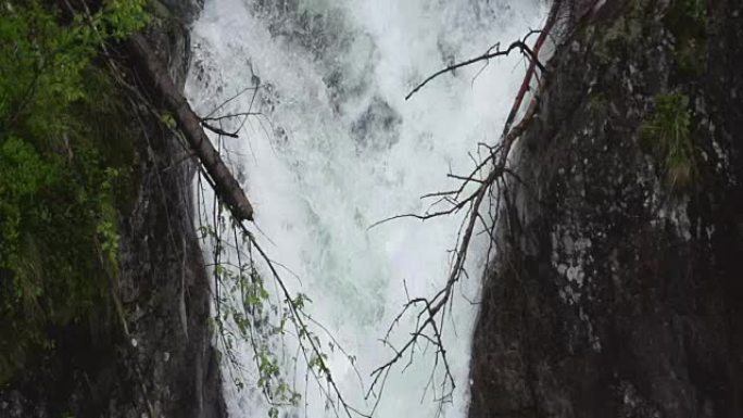 森林中央的瀑布