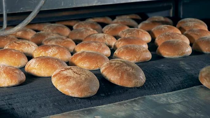 食品加工厂。现成的面包从烤箱里出来。