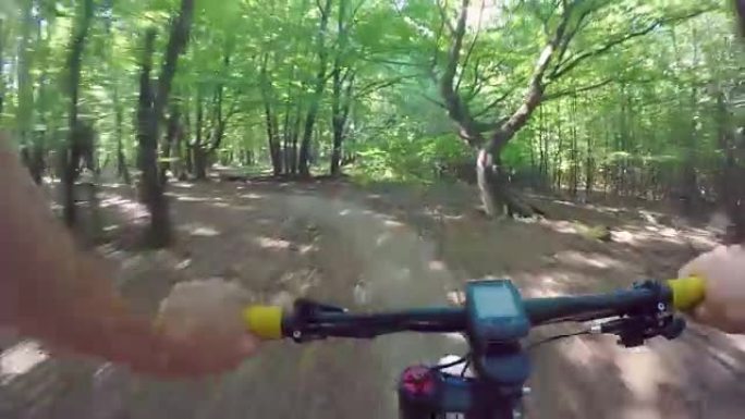 骑自行车穿过森林。