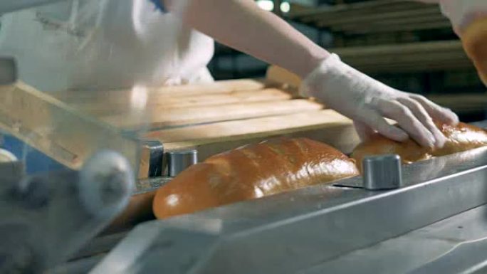 将长条面包放在传送带上进行包装。