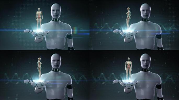 机器人开放手掌，旋转女性人体肌肉，血液系统，x光。