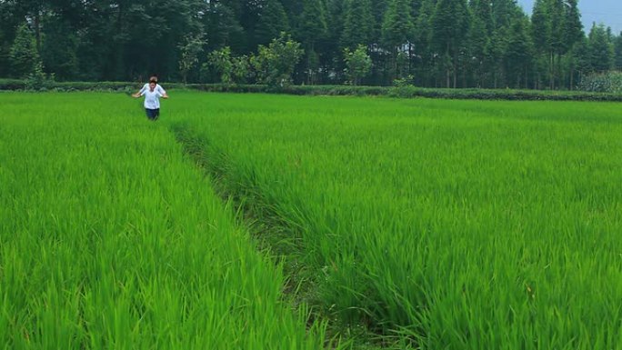 两个孩子在稻田里奔跑