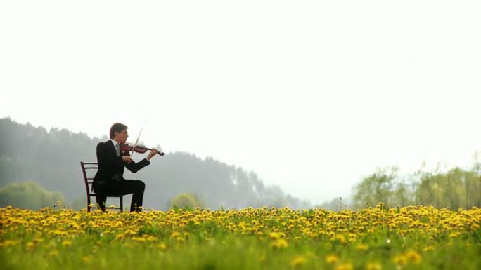 高清多莉: 大自然中的音乐家