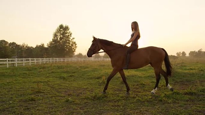 慢动作: 年轻女孩在金色的夏日日出时在草地上光着背骑