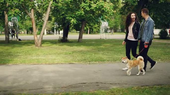 开朗的年轻夫妇男女在运动场附近的公园里遛狗，人们牵着手，盖伊在牵着动物。城市生活和宠物概念。
