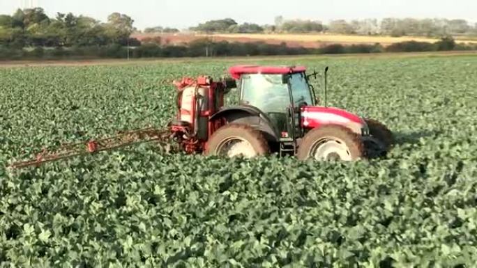 南非在蔬菜上喷洒农药的拖拉机