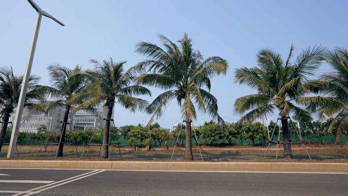 海口江东新区