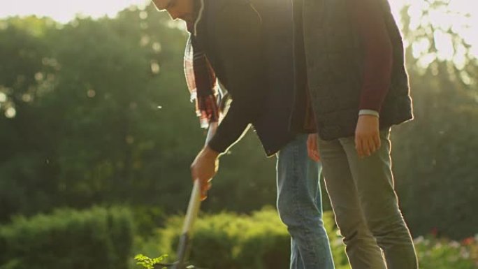 父子俩在花园里种植物。