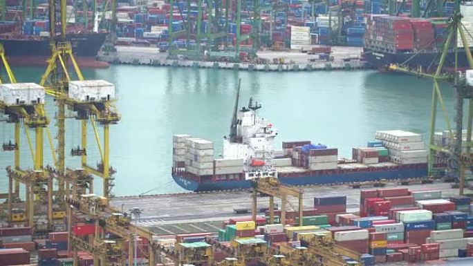 新加坡港集装箱船和起重起重机的鸟瞰图