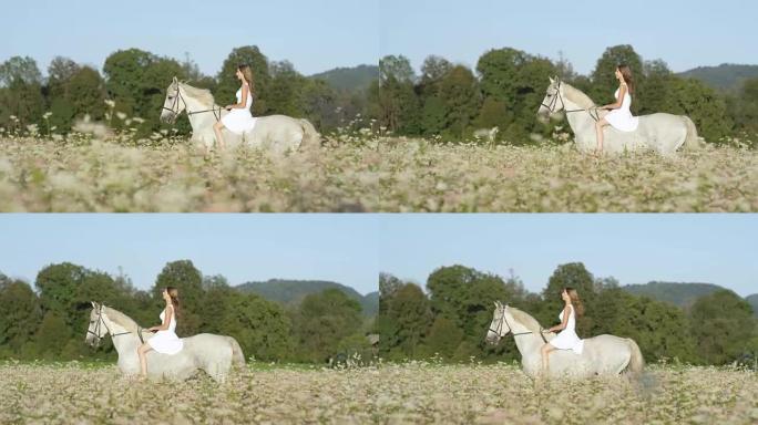 慢动作: 美丽天真的女孩在粉红色的田野里骑着白马