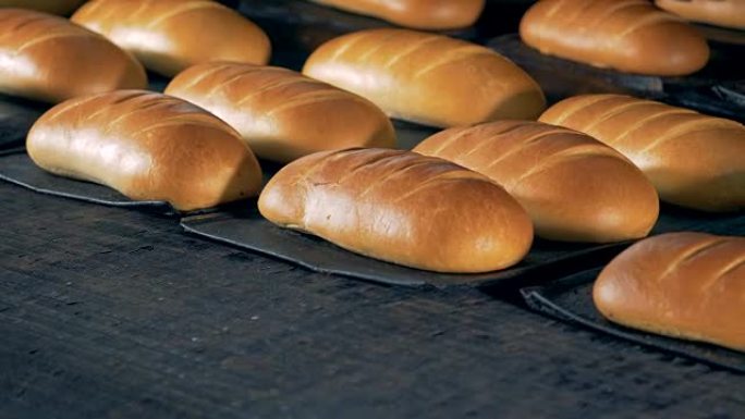 现成的法棍面包是从烤箱里出来的。食品加工厂。