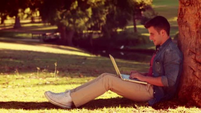年轻人坐在树上，用他的笔记本电脑