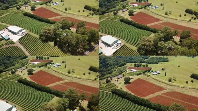 澳大利亚作物的线形。农场鸟瞰图
