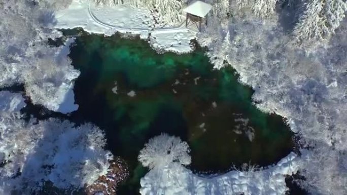 空中: 在冬季景观中飞越美丽的绿湖