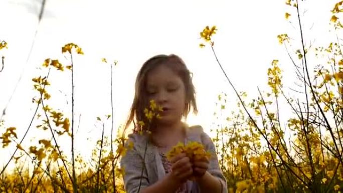 小女孩摘花和他们一起玩