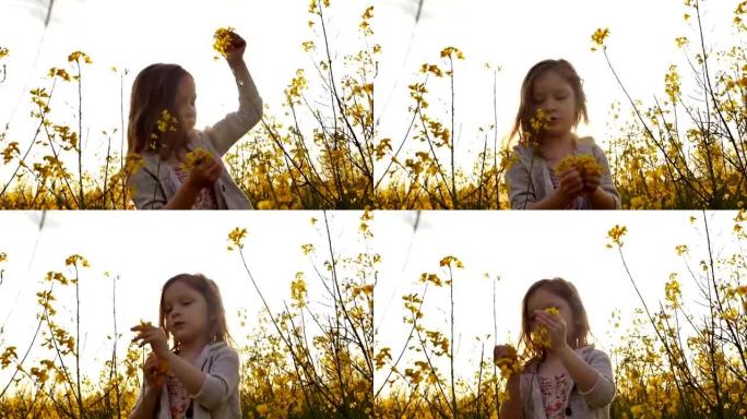 小女孩摘花和他们一起玩