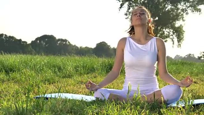 在阳光明媚的日子里，一个美丽的年轻女孩在大自然 (公园，田野) 中做瑜伽，穿着白色衣服，背景是草，木