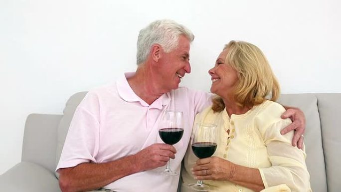 退休夫妇在沙发上喝红酒