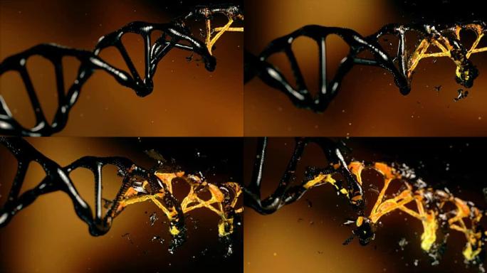 三维空间中DNA的破坏