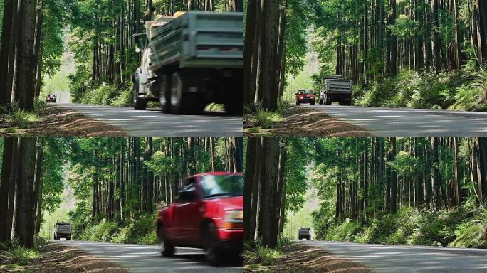 在森林里，汽车超过了大卡车