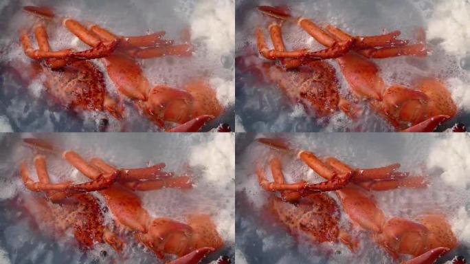 龙虾在沸水中烹饪
