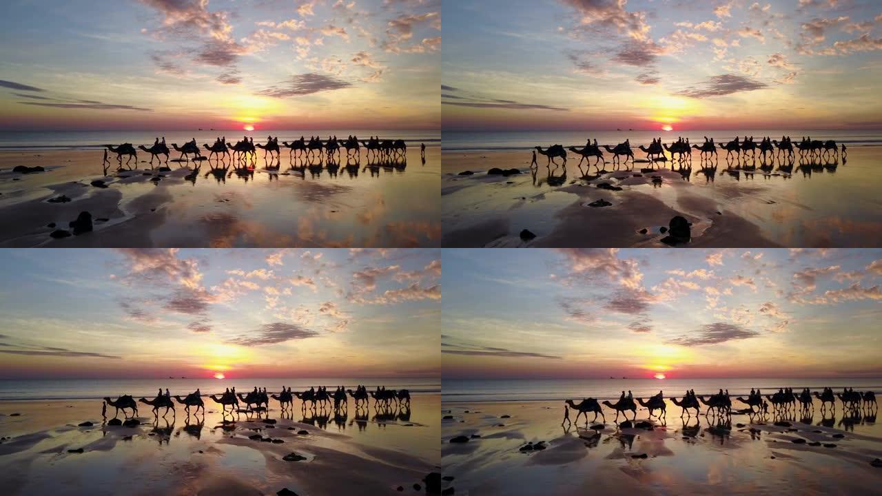 澳大利亚布鲁姆电缆海滩上骆驼的鸟瞰图