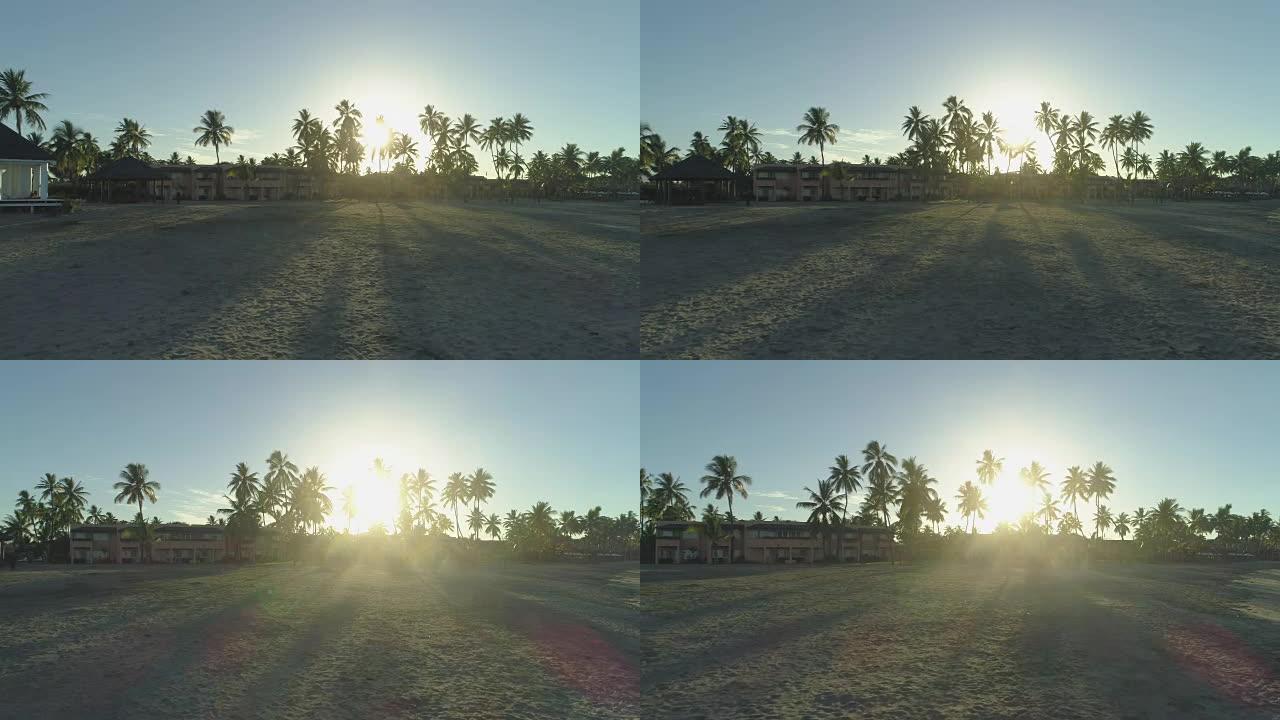 镜头耀斑: 早晨的阳光透过豪华海滩度假胜地的棕榈树窥视