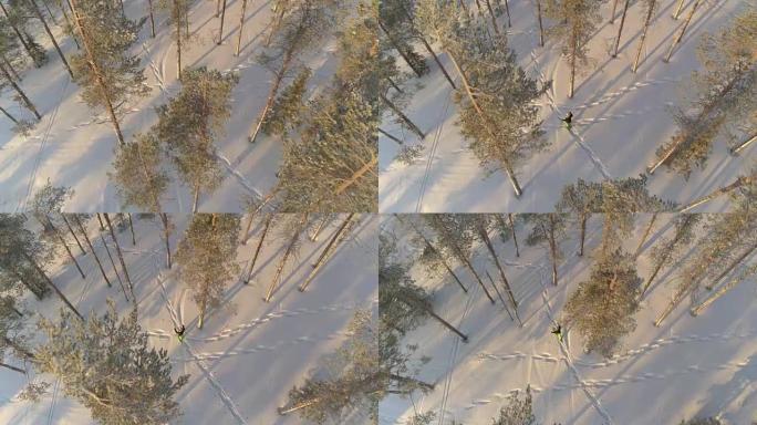 空中: 在拉普兰森林的深雪中飞来飞去的雪鞋