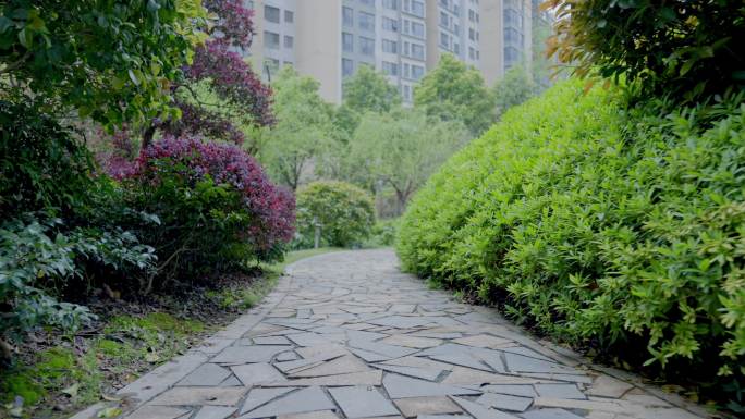 园林小路