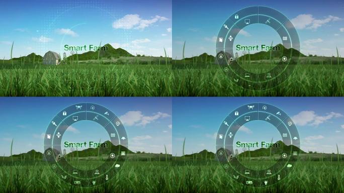 智能农场在圆形信息图形图标，智能农业，物联网。第四次工业革命。