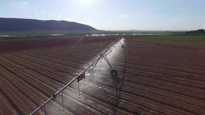 用中心枢轴系统灌溉的玉米田的鸟瞰图