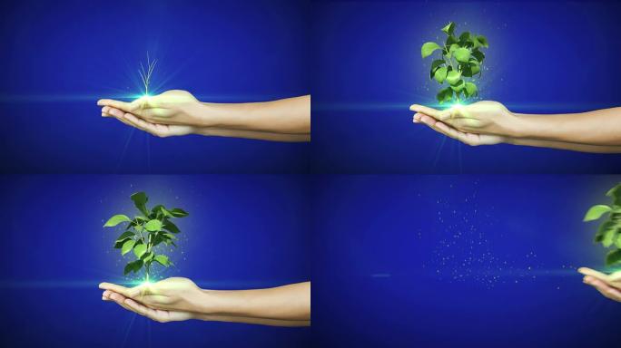 呈现数字绿色植物生长的手