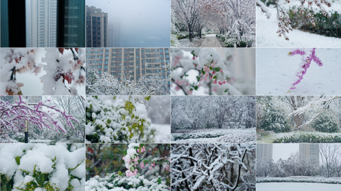 【4K】雪景飘雪大雪暴雪城市下雪