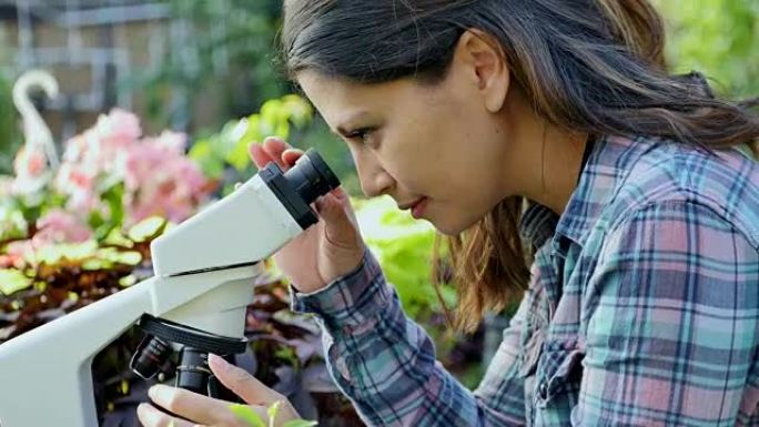 自信的女性植物学家在显微镜下检查植物样本