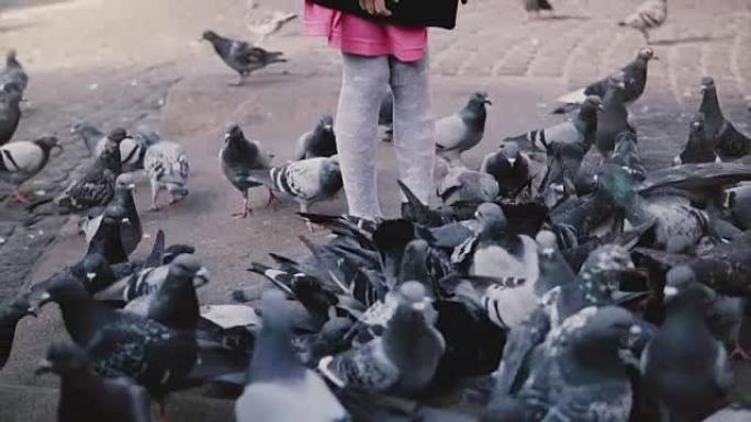 被鸟儿包围的欧洲小女孩。慢动作。兴奋可爱的女孩子看着城市广场的大鸽子群