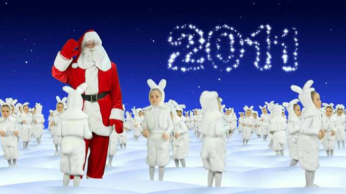 圣诞老人和白兔庆祝2011年新年