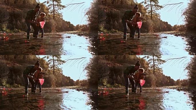 父子在山河里用渔网捕鱼