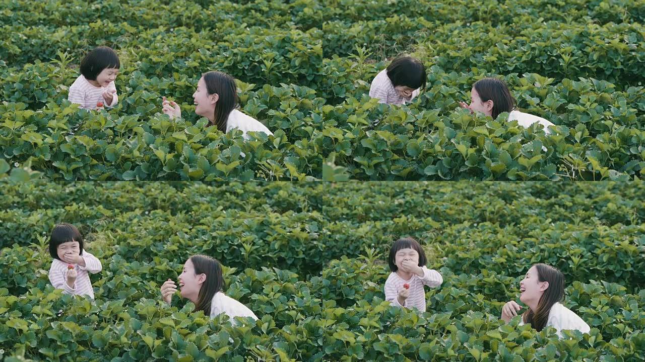 亚洲小女孩吃新鲜采摘的草莓