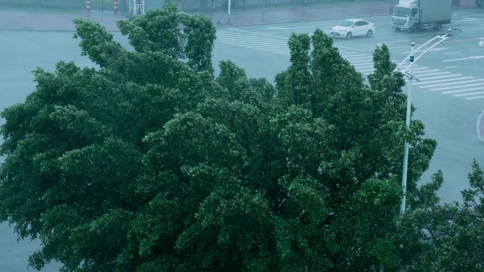 台风天大暴雨车辆行驶广东天气沿海地区