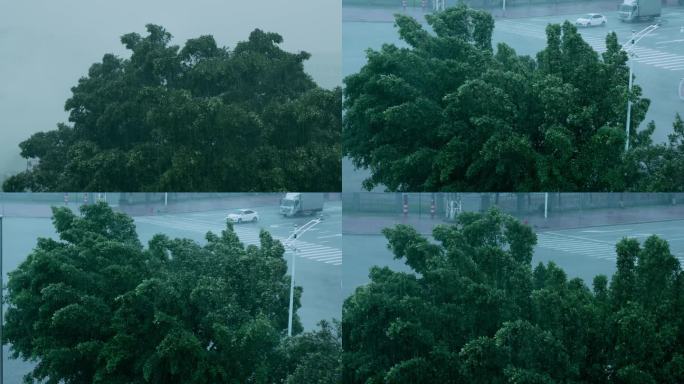 台风天大暴雨车辆行驶广东天气沿海地区