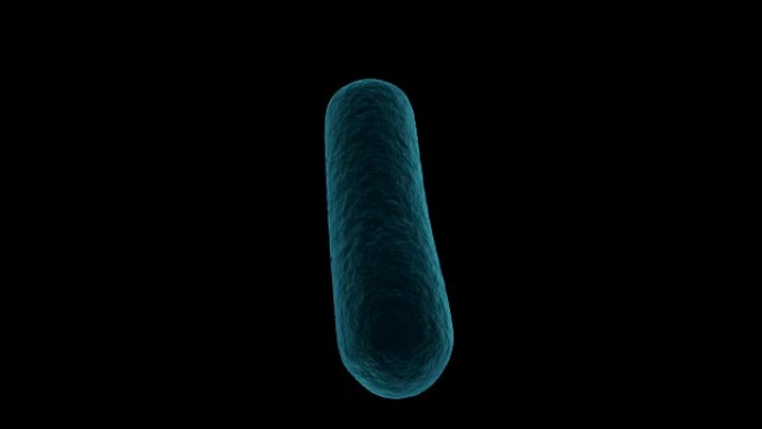 白色背景下的数字生成细菌细胞
