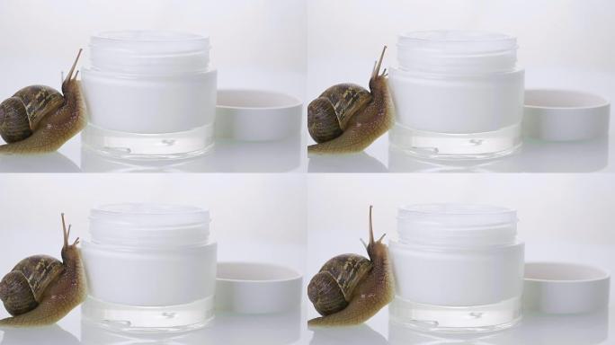 近距离观察，一只蜗牛飞快地奔向一罐护肤霜。产品理念:保湿霜，完美肌肤，蜗牛点心。