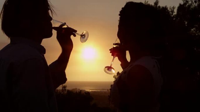 浪漫的情侣敬酒，欣赏日落，拍摄于R3D