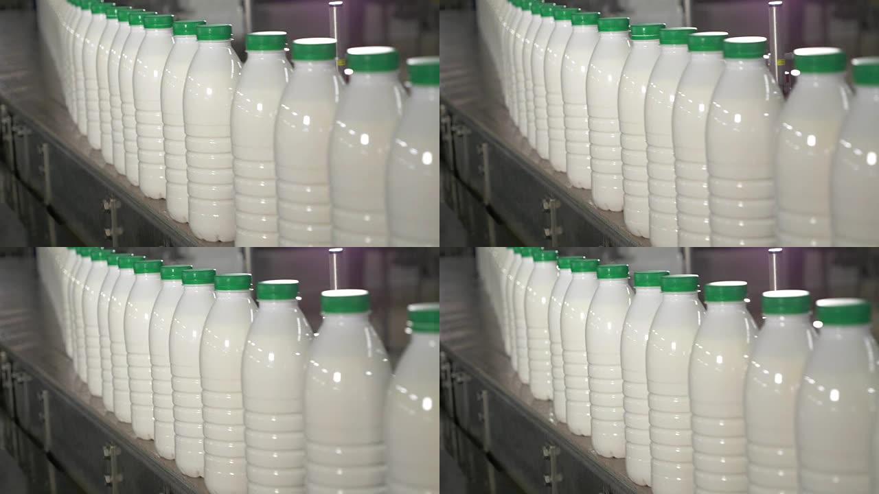 在传送带上移动的一家乳品厂，装有牛奶的塑料瓶